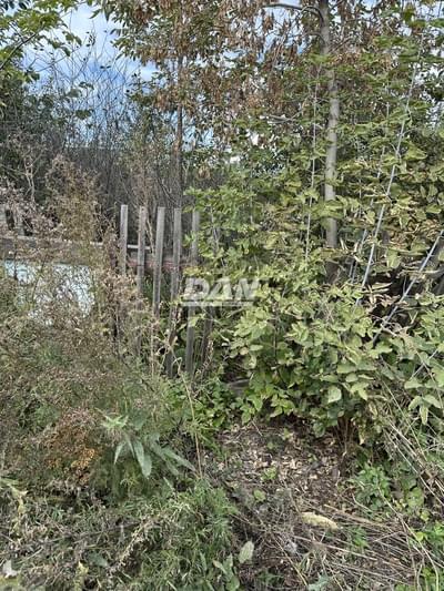 Прокопьева Марианна Валентиновна