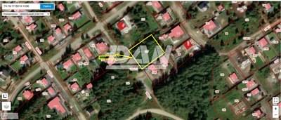 Голубева Анастасия Сергеевна