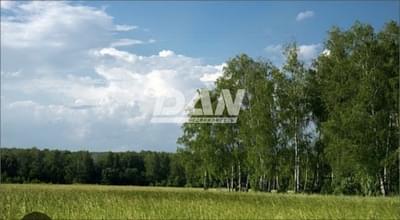 RemovedObject object (21343)