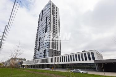 Object object (118179)