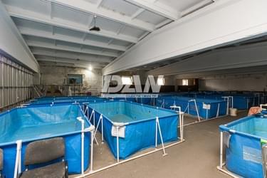 Object object (119393)