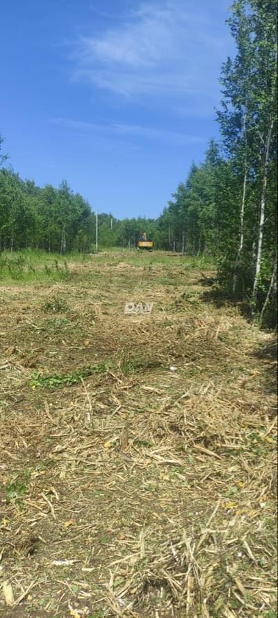 RemovedObject object (19416)