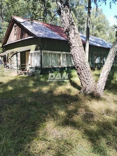 Рязанова Светлана