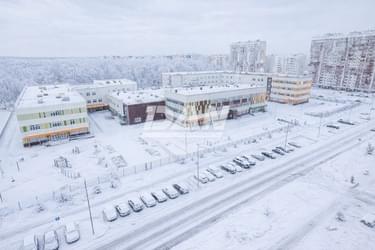 Object object (117431)