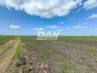 RemovedObject object (27953)