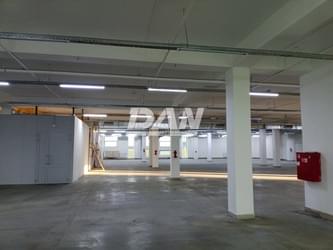 Object object (116898)