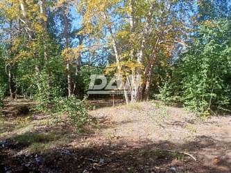 RemovedObject object (19103)