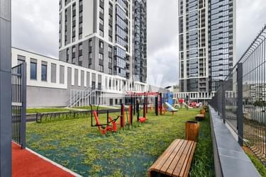 Object object (116925)