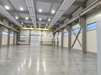 Object object (121371)