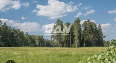 RemovedObject object (27613)