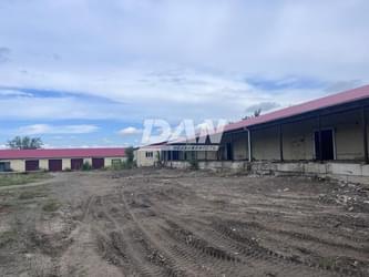 Object object (118187)