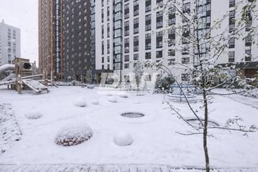 Object object (119147)