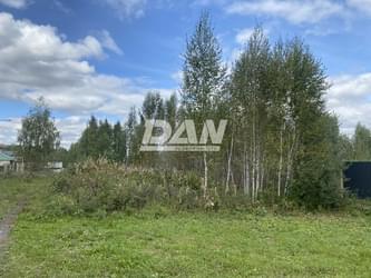 Голубева Анастасия Сергеевна