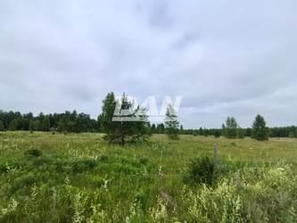 Сувалко Дмитрий