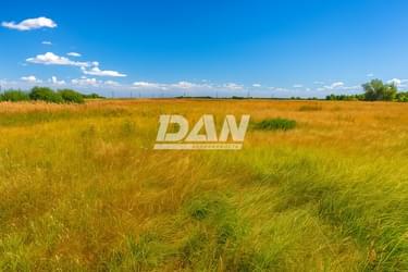 RemovedObject object (26466)