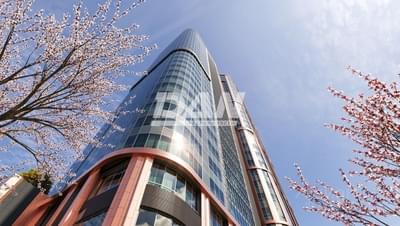 RemovedObject object (12485)