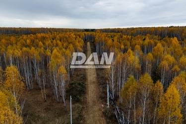 RemovedObject object (28330)