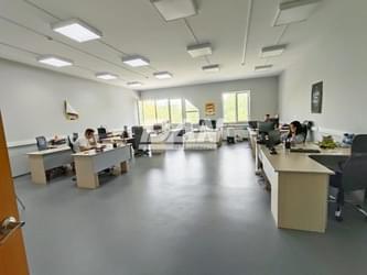 Object object (116886)