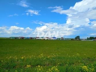 Анофриева Ирина Вячеславовна