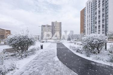 RemovedObject object (6529)