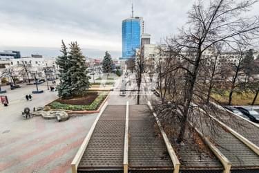 RemovedObject object (12217)